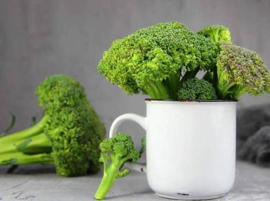 Café con brócoli, bebida saludable