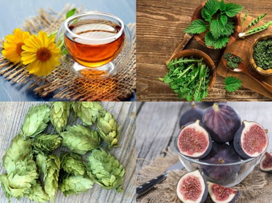 Plantas con propiedades medicinales que probablemente desconocías