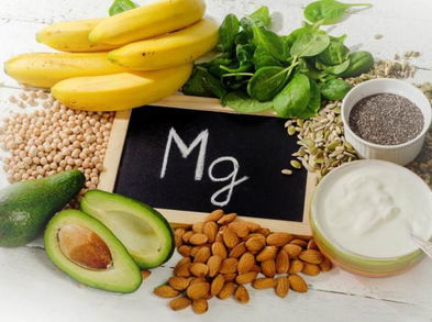 Alimentos ricos en magnesio