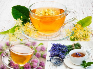Infusiones para calmar la ansiedad