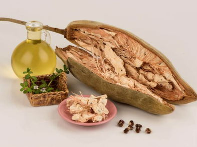 Beneficios del pan del mono o fruto del baobab para la salud