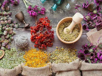 ¿Qué es la herbodietética y cuáles son sus ventajas?