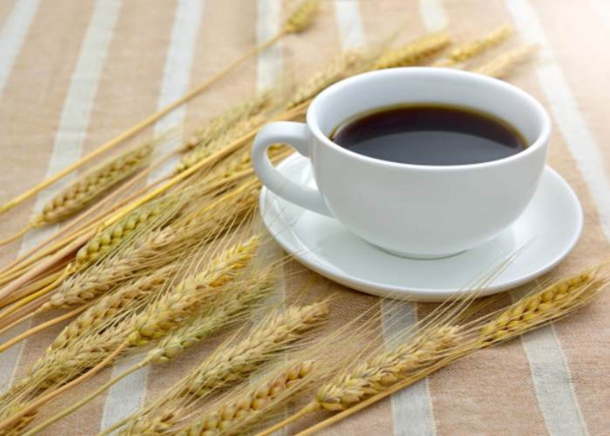 Taza cebada tostada