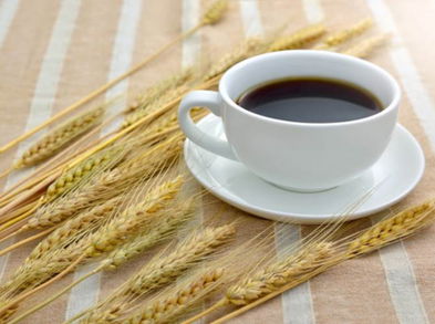 La cebada tostada puede reemplazar al café