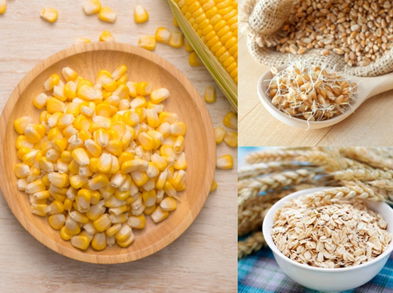 Los mejores cereales integrales para el desayuno