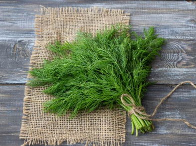 Razones poderosas para consumir eneldo
