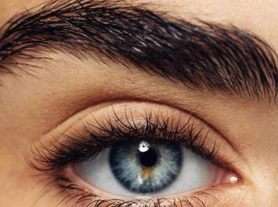 Cómo engrosar las cejas de manera natural