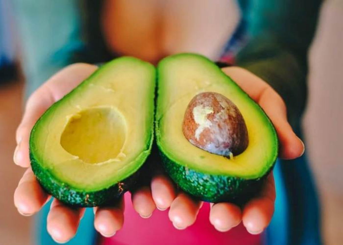 Manos-con-aguacate