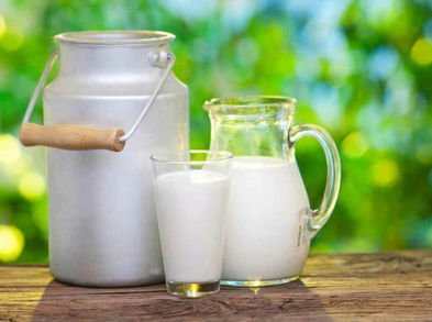 Consumo de la leche cruda ¿es bueno o no?