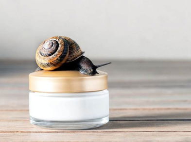 Crema casera antiarrugas con baba de caracol y aloe vera