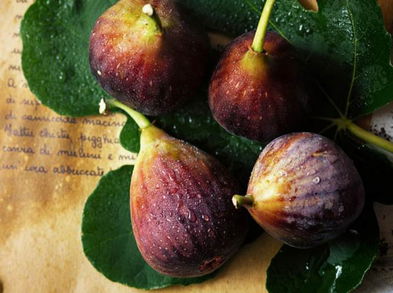 Cuáles son los beneficios de la infusión de hojas de higo