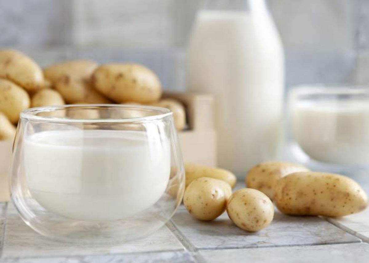 Leche de patata