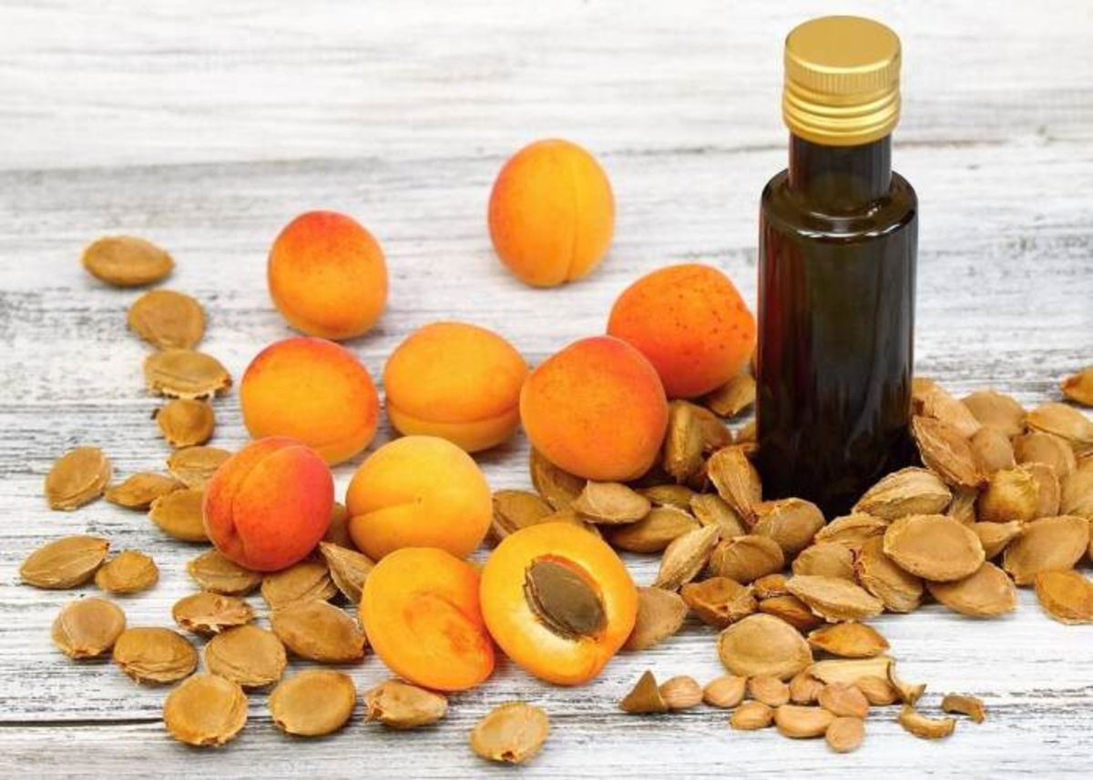 Semillas de albaricoque