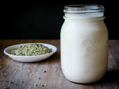 Bebida proteica de vegetales y semillas de cáñamo