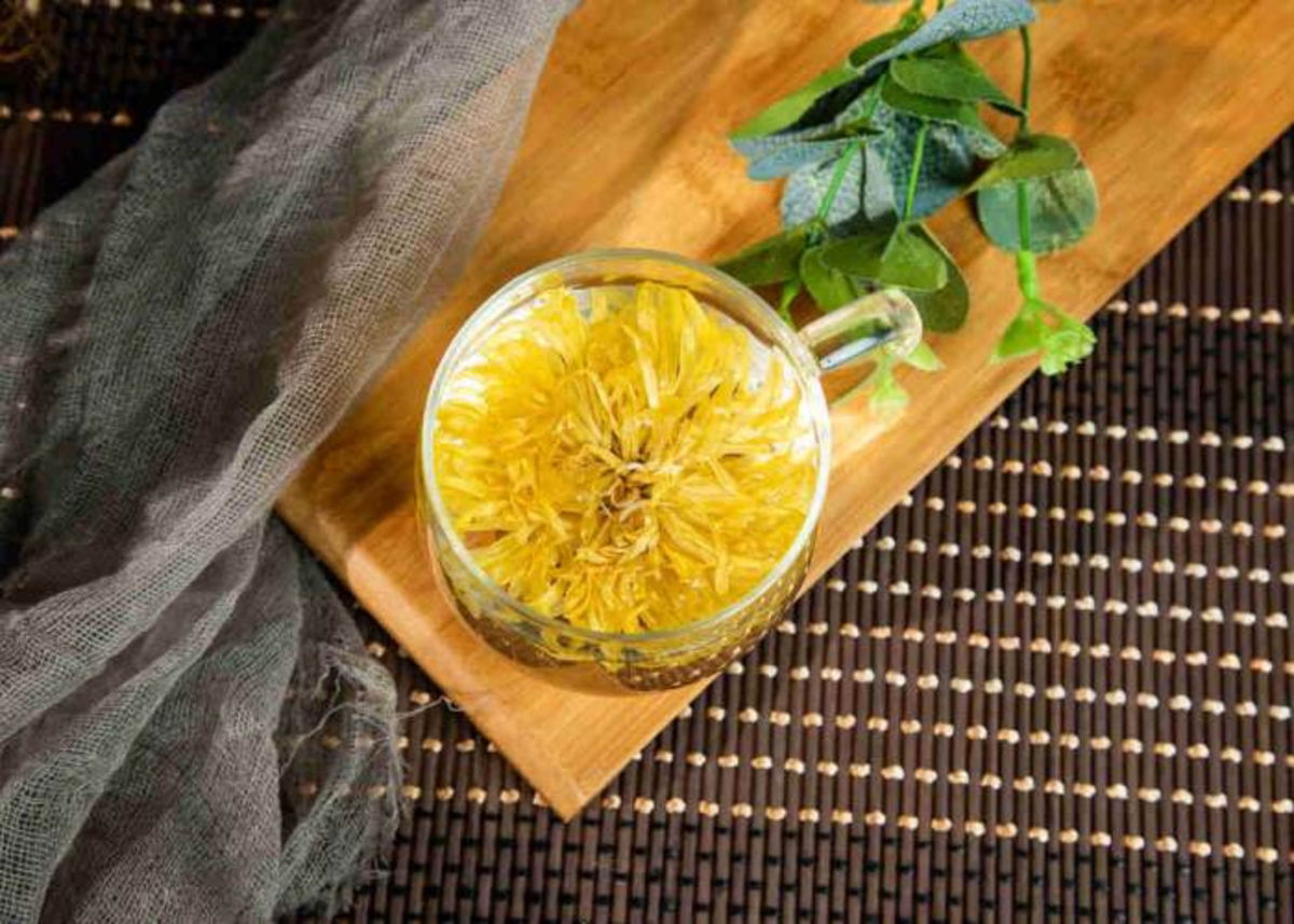 Infusión de crisantemo