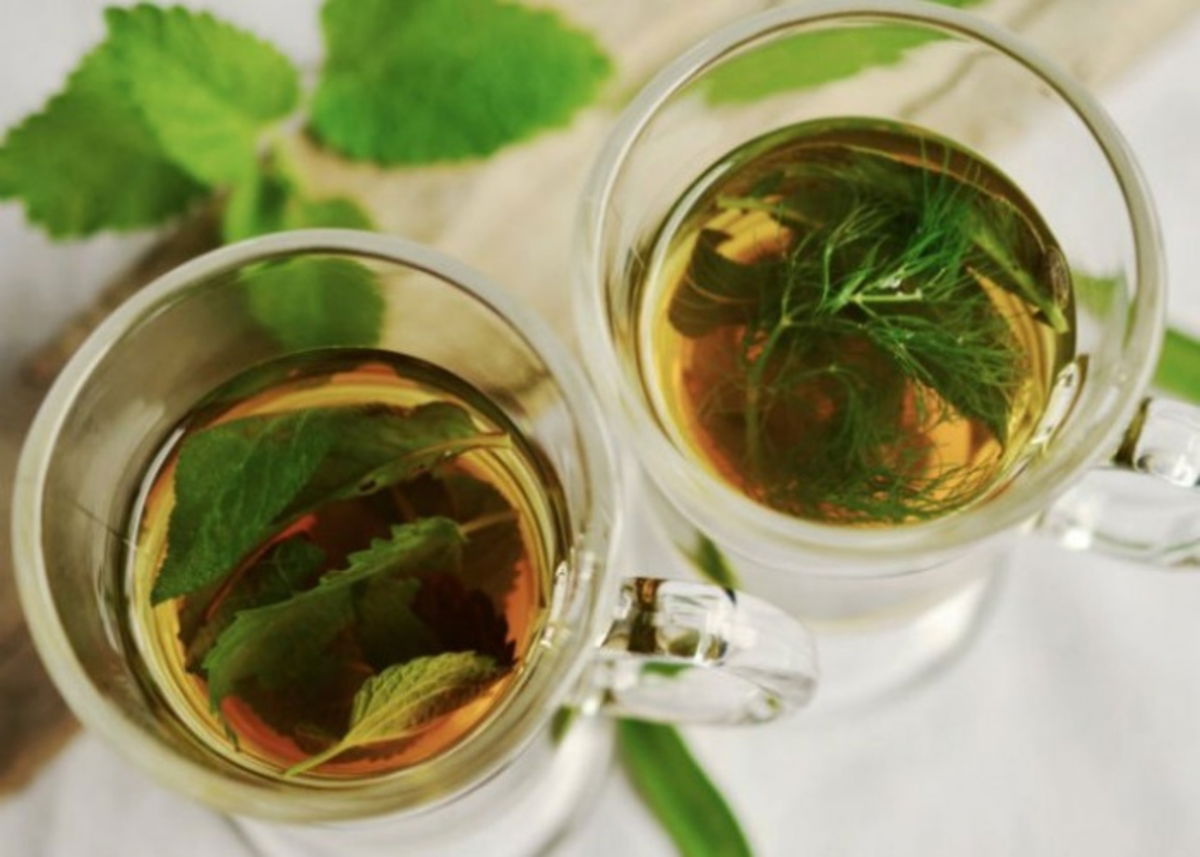 Infusión menta y ajenjo