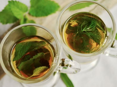 Regula el azúcar en sangre con esta infusión de menta y ajenjo