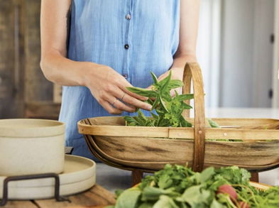 Alimentación a base de plantas ¡sigue estos consejos!