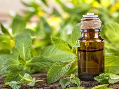 Beneficios del aceite de menta para la piel y el cabello