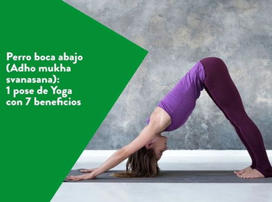 Perro boca abajo: 1 pose de Yoga con 7 beneficios