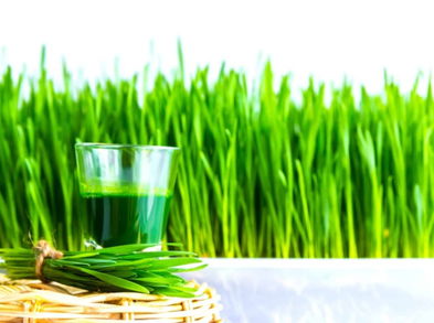 Beneficios del pasto de trigo para la salud