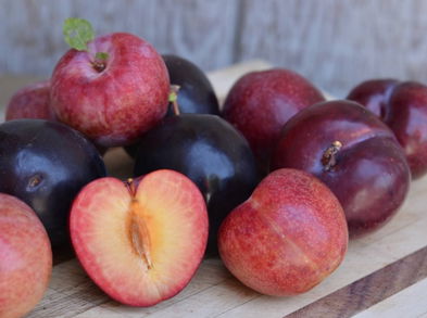 Beneficios de los pluots para la salud