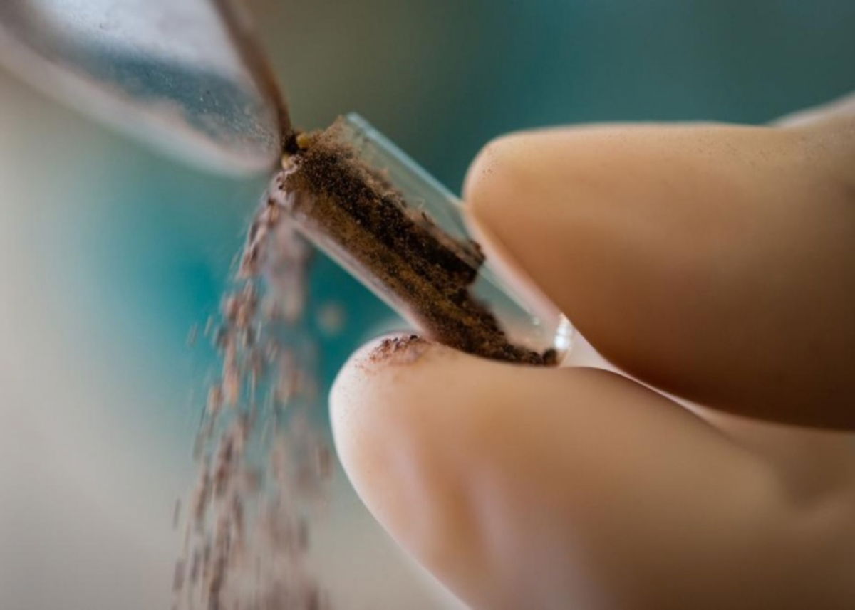 Placenta en cápsula